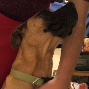 Meet your Posher, Cody